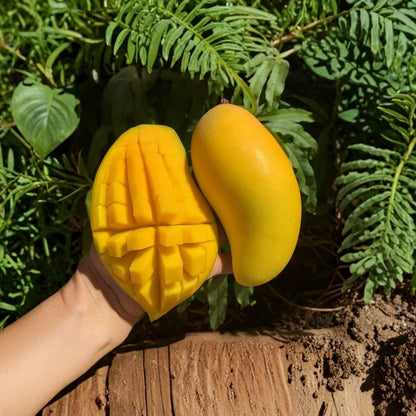 Valencia Pride Mango Tree – Mangifera indica Live Seedling | USDA Certified | Fast-Growing Tropical Variety  Vigorous Growth | Long Colorful Fruit Lineage | Backyard Ready