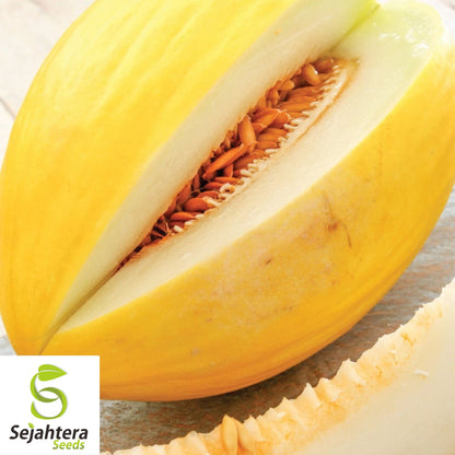 Crenshaw Melon Seeds 50+ | Heirloom NON-GMO Sweet Cantaloupe Fruit USA