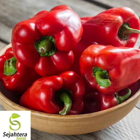 30+ Giant Red Bell Pepper Seeds - Sweet, Heirloom, Organic, Non-GMO & Fresh