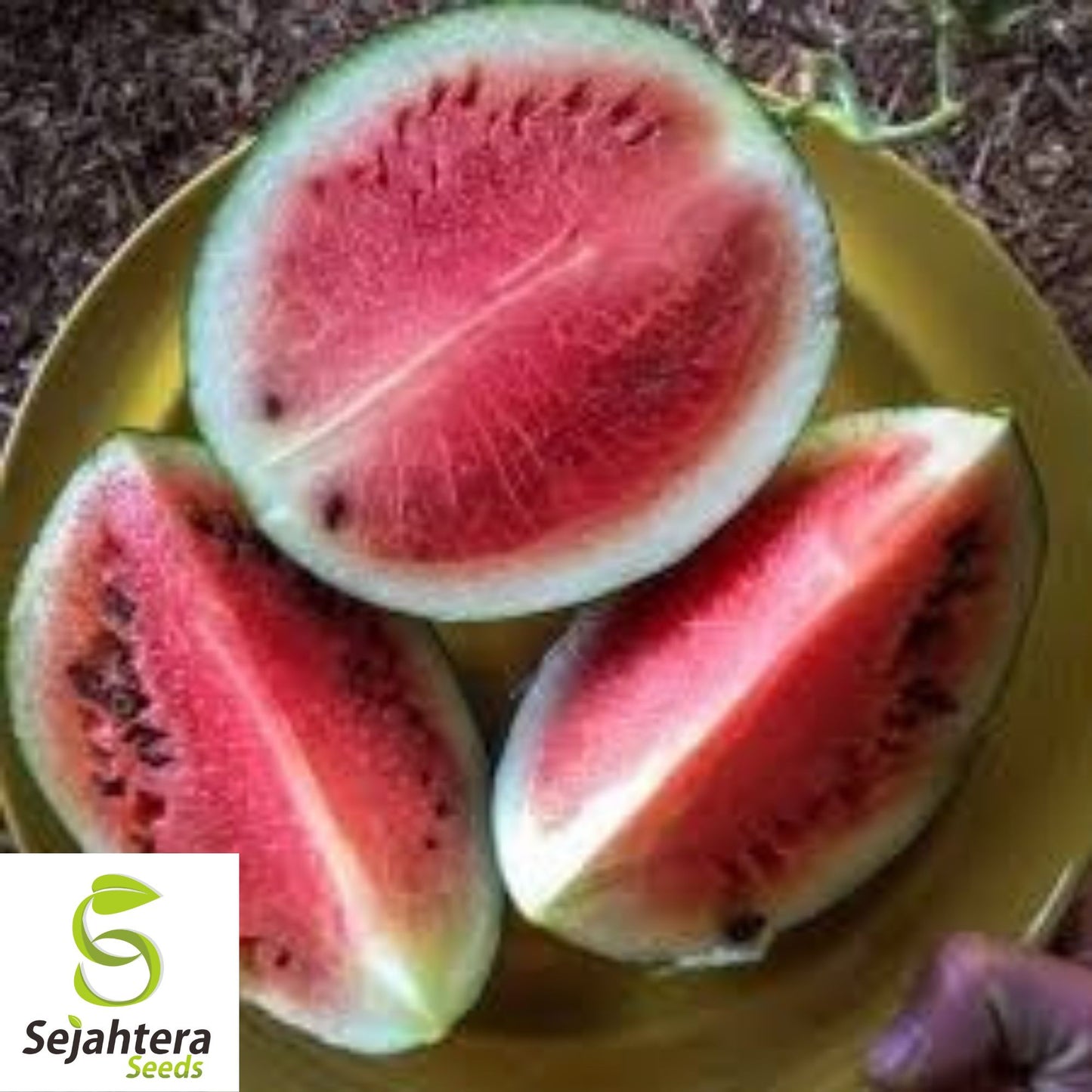 Sugar Baby Watermelon Seeds 30+ | Sweet Melon NON-GMO Garden USA