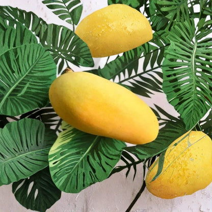 Orange Sherbet Mango Tree – Mangifera indica Grafted Live Tree | 2–4 Feet Tall | 3-Gal Container  Sweet Citrus Flavor | Disease Resistant | Ships to All States