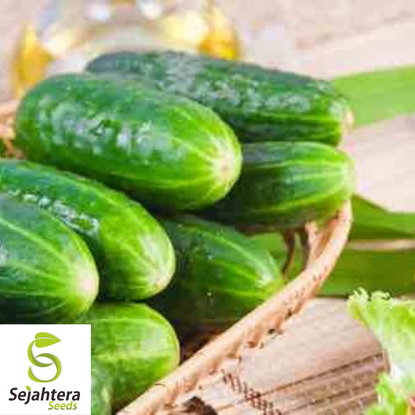 Marketmore Cucumber Seeds 60+ | Heirloom NON-GMO Vegetable Garden USA