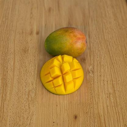 Keitt Mango Tree – Mangifera indica Live Seedling | USDA Certified | Tropical Starter Plant  Late-Season Variety | Large Fruit Lineage | Vigorous Grower