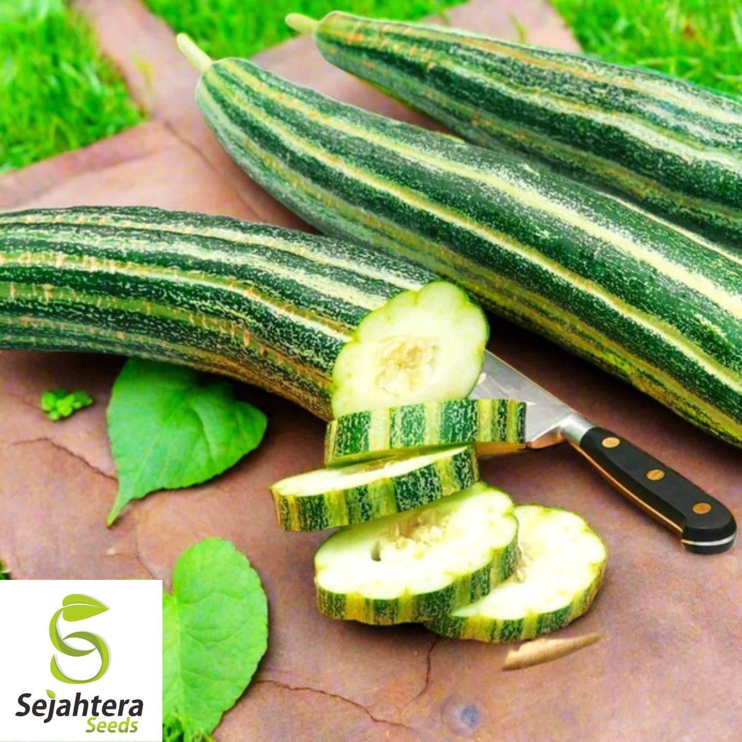 Painted Serpent Cucumber Seeds - 100+ Heirloom, Organic, Non-GMO & Rare