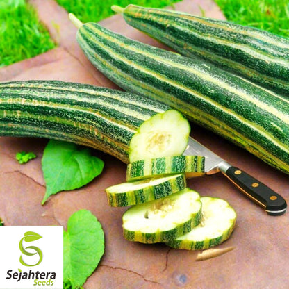 Painted Serpent Cucumber Seeds - 100+ Heirloom, Organic, Non-GMO & Rare