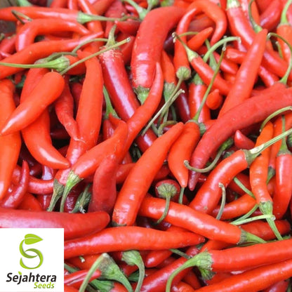 20 Red Thai Pepper Seeds - Non-GMO, Hot & Flavorful Variety