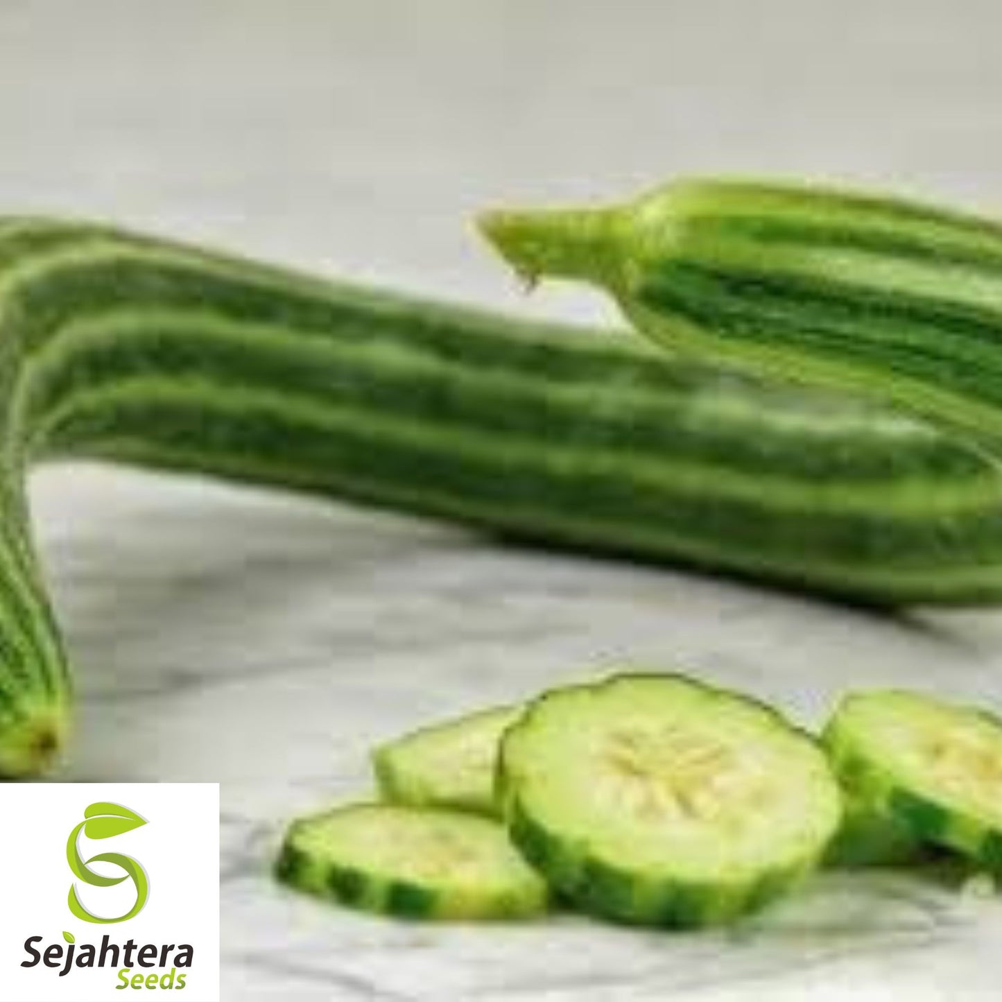 Painted Serpent Cucumber Seeds - 100+ Heirloom, Organic, Non-GMO & Rare