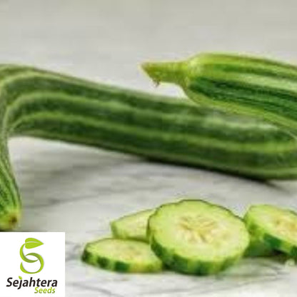 Painted Serpent Cucumber Seeds - 100+ Heirloom, Organic, Non-GMO & Rare