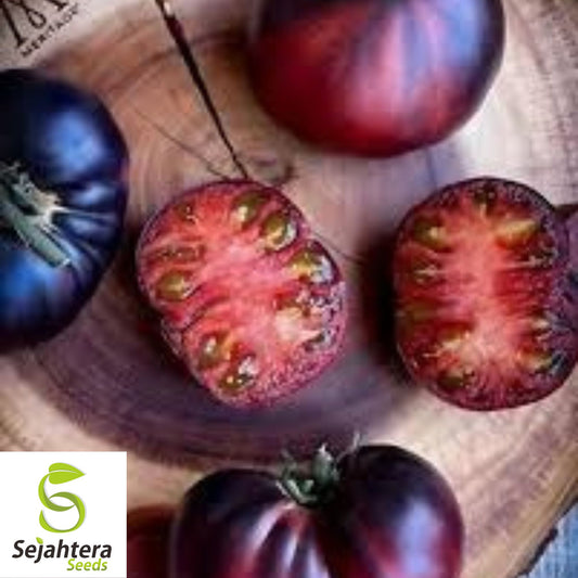 Black Beauty Tomato Seeds - 30+ Organic, Heirloom, Non-GMO & Rare