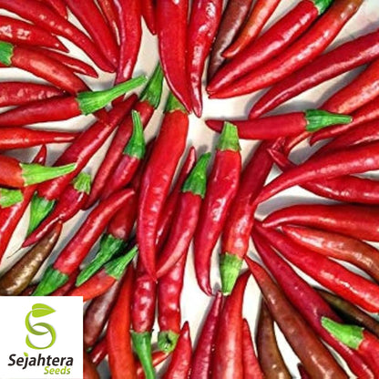 20 Red Thai Pepper Seeds - Non-GMO, Hot & Flavorful Variety