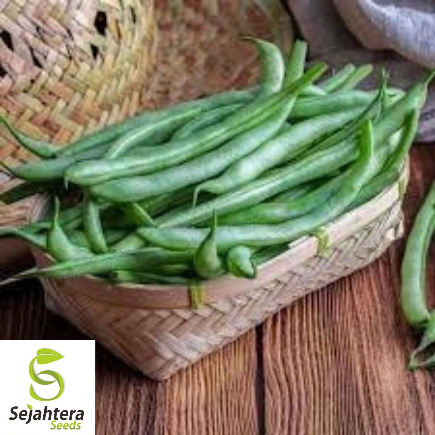 Improved Tendergreen Bean Seeds 50 Ct | Stringless Bush Green Vegetable USA