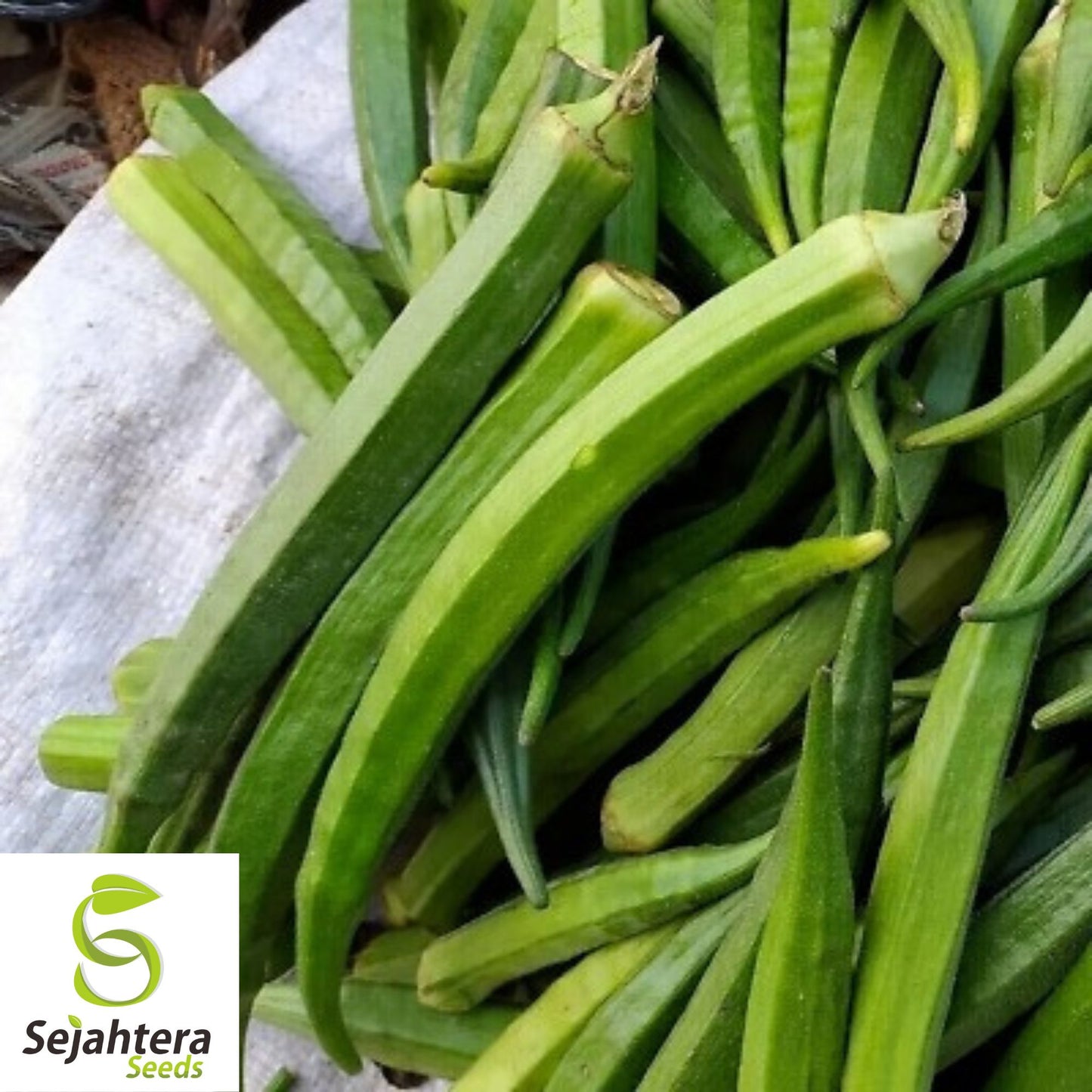 Perkins Long Pod Okra Seeds - 100+ Heirloom - Non-GMO & High-Yielding - Fresh