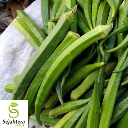 Perkins Long Pod Okra Seeds - 100+ Heirloom - Non-GMO & High-Yielding - Fresh