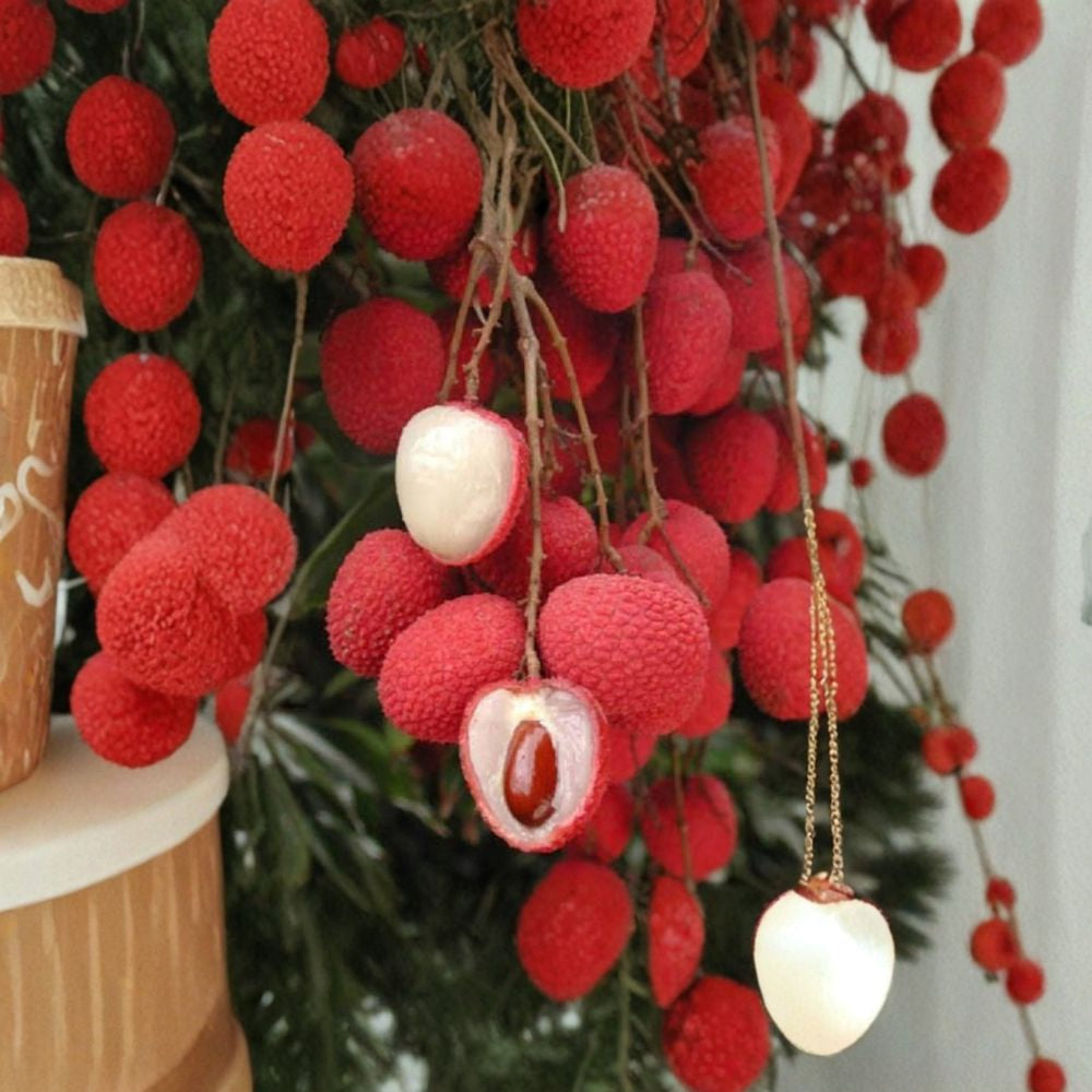 Sweetheart Lychee Tree – Litchi chinensis Live Air-Layered Tree | 2 Feet Tall | Includes 3 Gallon Nursery Pot  Premium Tropical Fruit Tree | Backyard Orchard Favorite | Grafted-Quality Air Layer