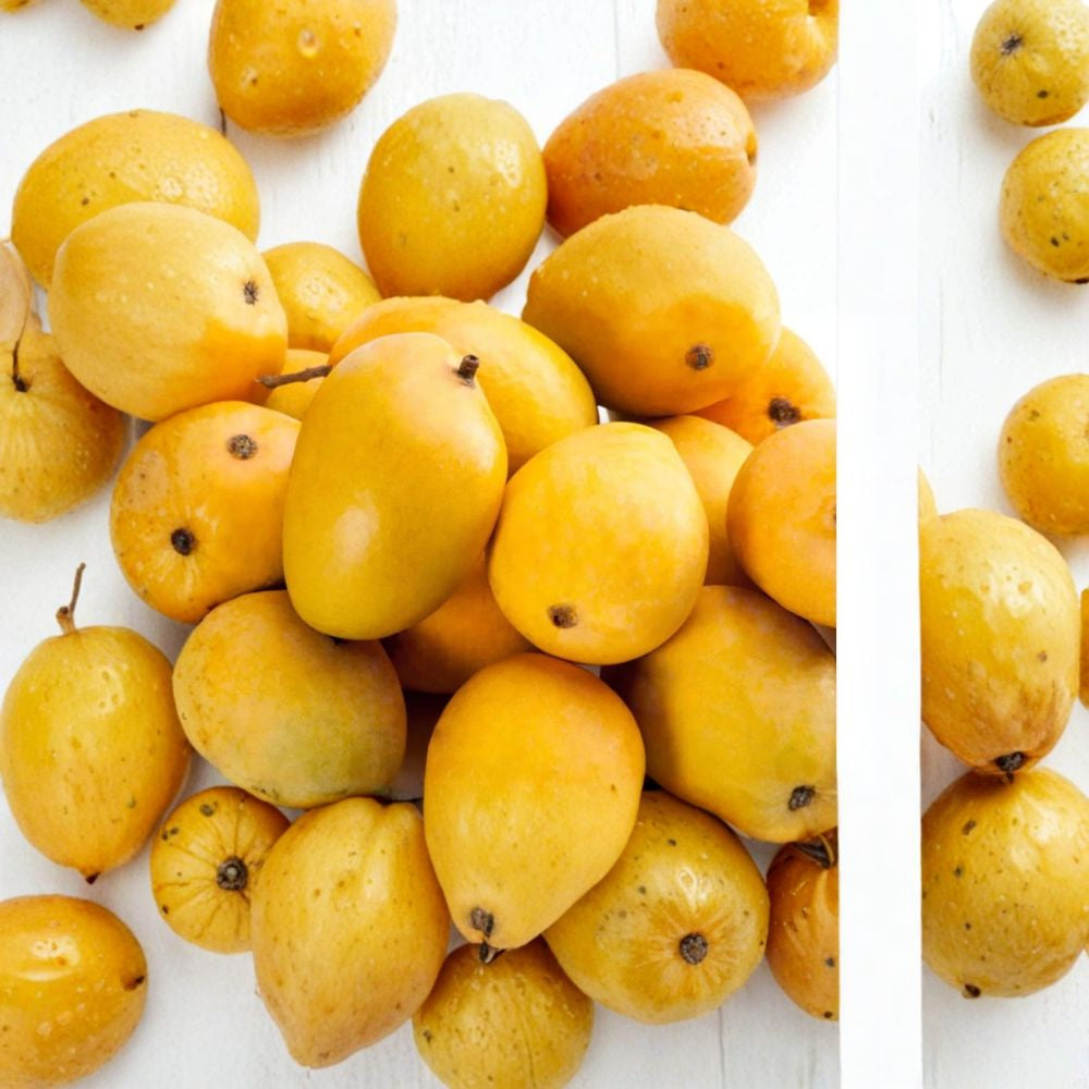 Alphonso Mango Tree – Mangifera indica Live Grafted Tree | 2–4 Feet Tall | Actual Photos  Premium Indian Variety | Early Bearing | Florida Grown
