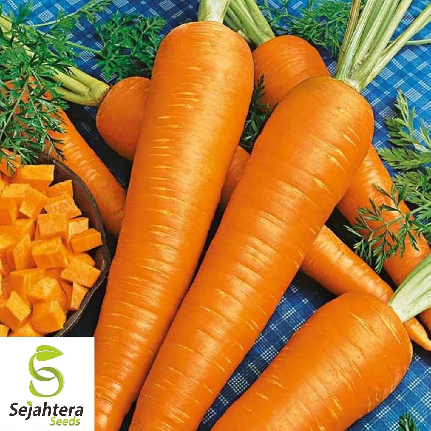 Danvers Carrot Seeds 1000+ | Vegetable Garden Heirloom NON-GMO USA