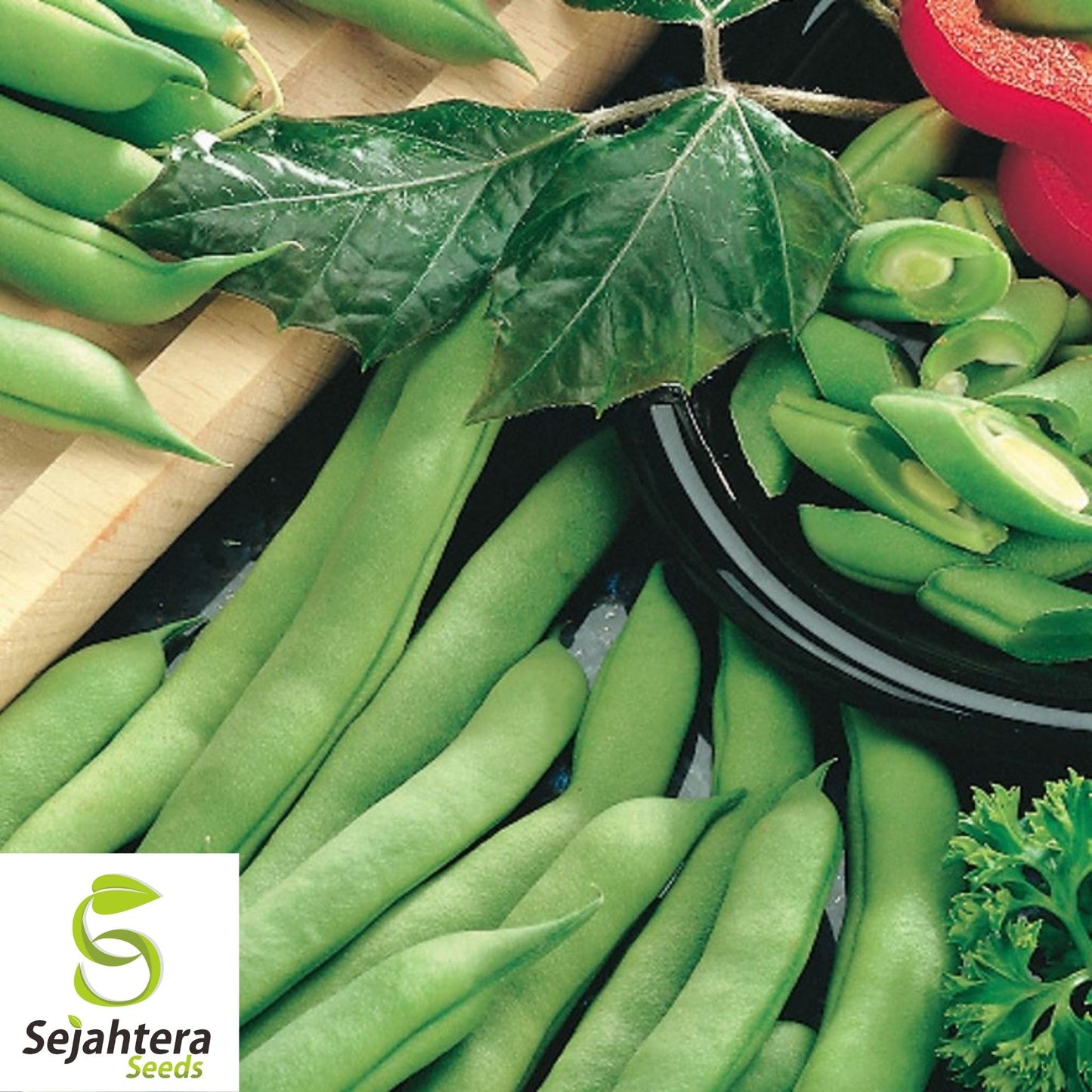 Improved Tendergreen Bean Seeds 50 Ct | Stringless Bush Green Vegetable USA