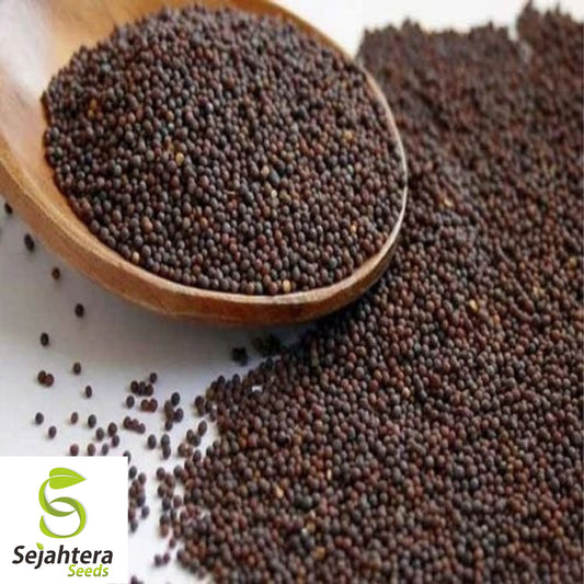 1000+ Black Mustard Seeds - Non-GMO, Heirloom & Versatile Culinary Herb