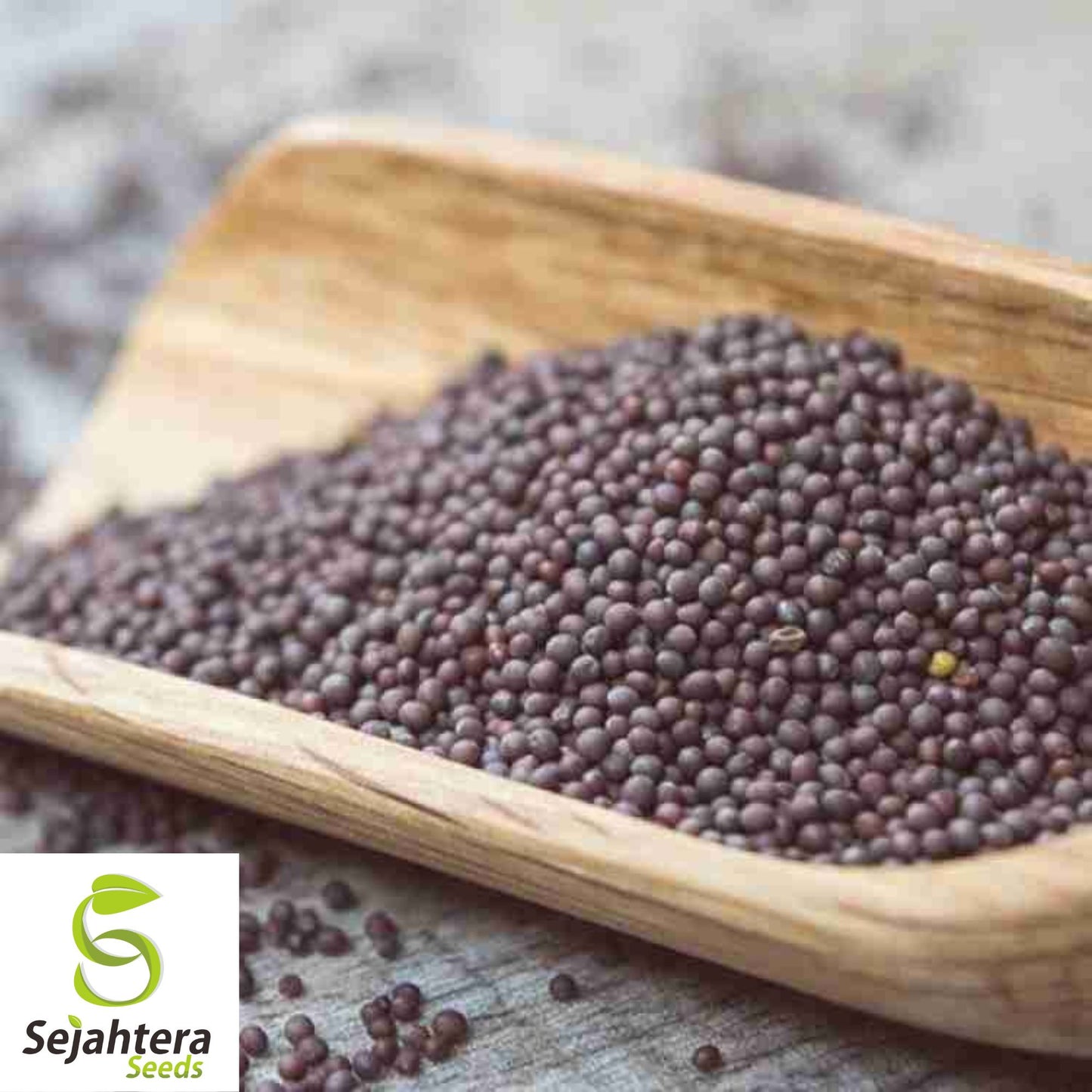 1000+ Black Mustard Seeds - Non-GMO, Heirloom & Versatile Culinary Herb