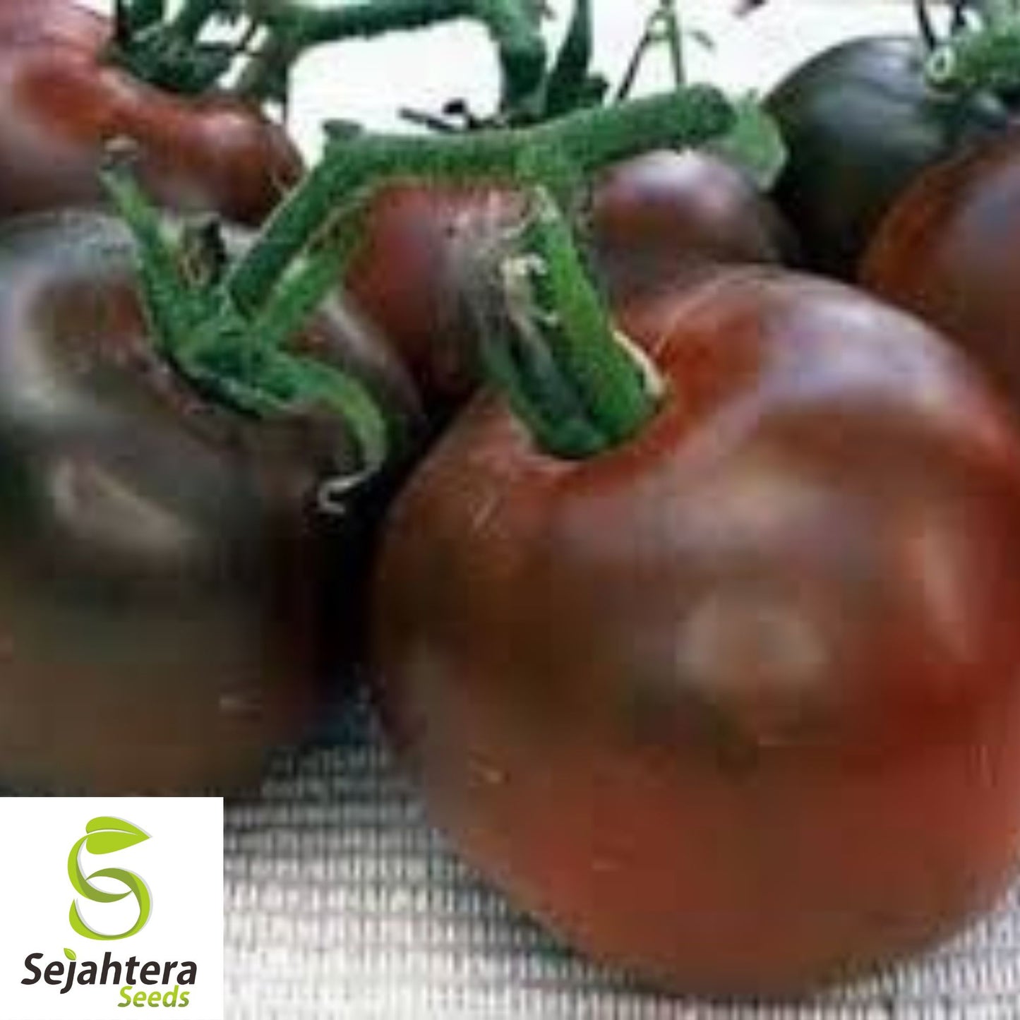 Black Prince Tomato Seeds - 30+ Heirloom, Organic, Non-GMO & Rare