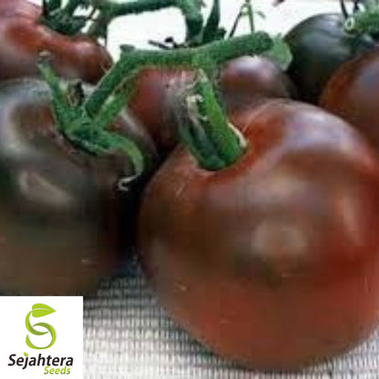 Black Prince Tomato Seeds - 30+ Heirloom, Organic, Non-GMO & Rare