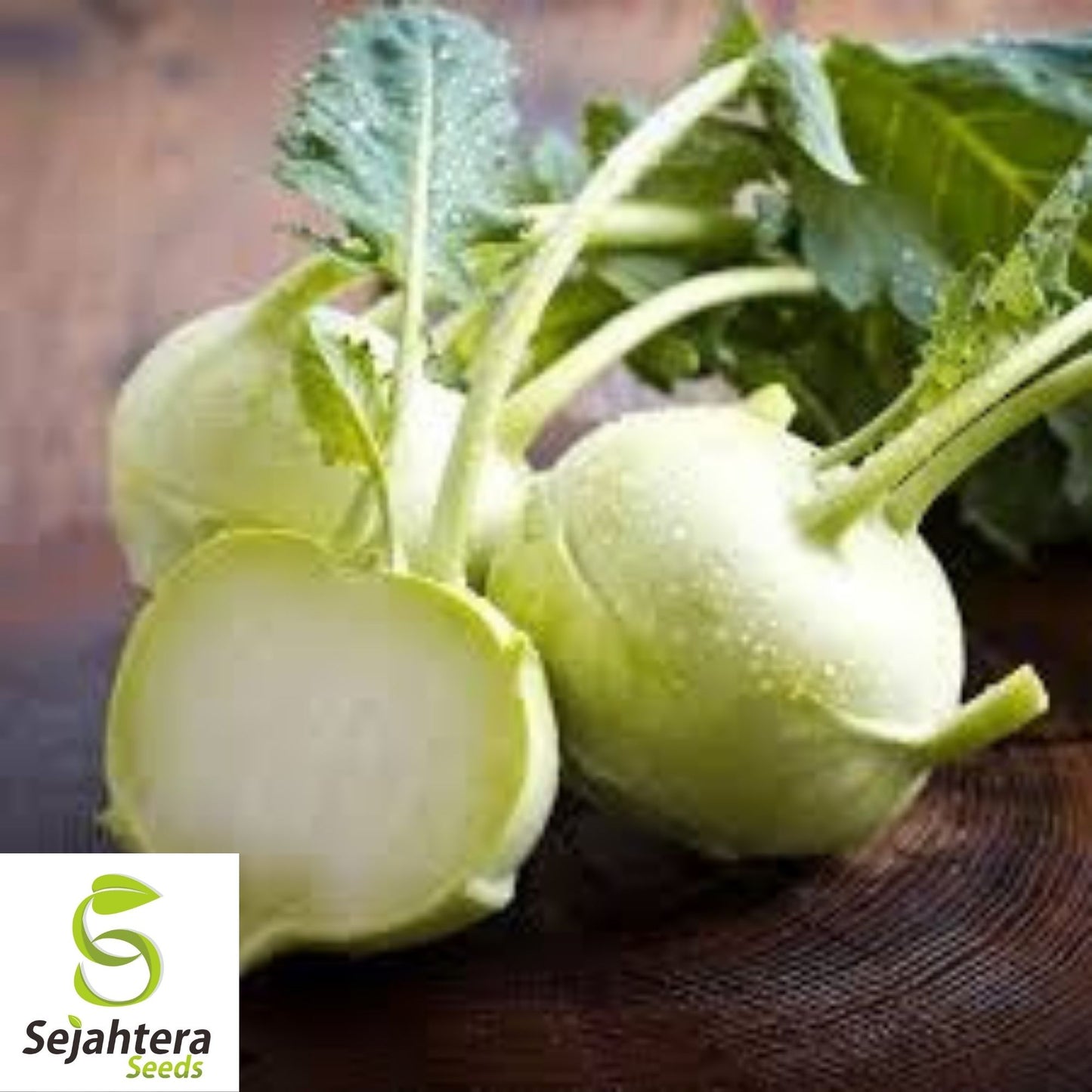 Kohlrabi White Vienna Seeds 500+ | Heirloom Vegetable NON-GMO USA