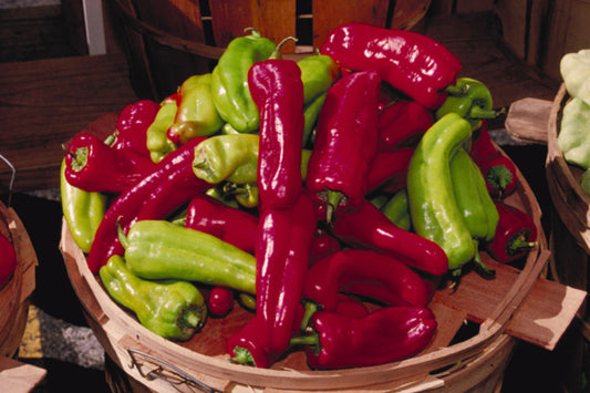 Cubanelle Pepper Pepper (Capsicum annuum 'Cubanelle')