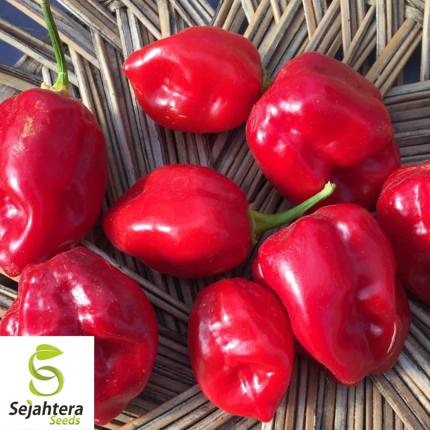 25+ Habanero Hot Pepper Seeds - Non-GMO, Heirloom & Extra Spicy Variety