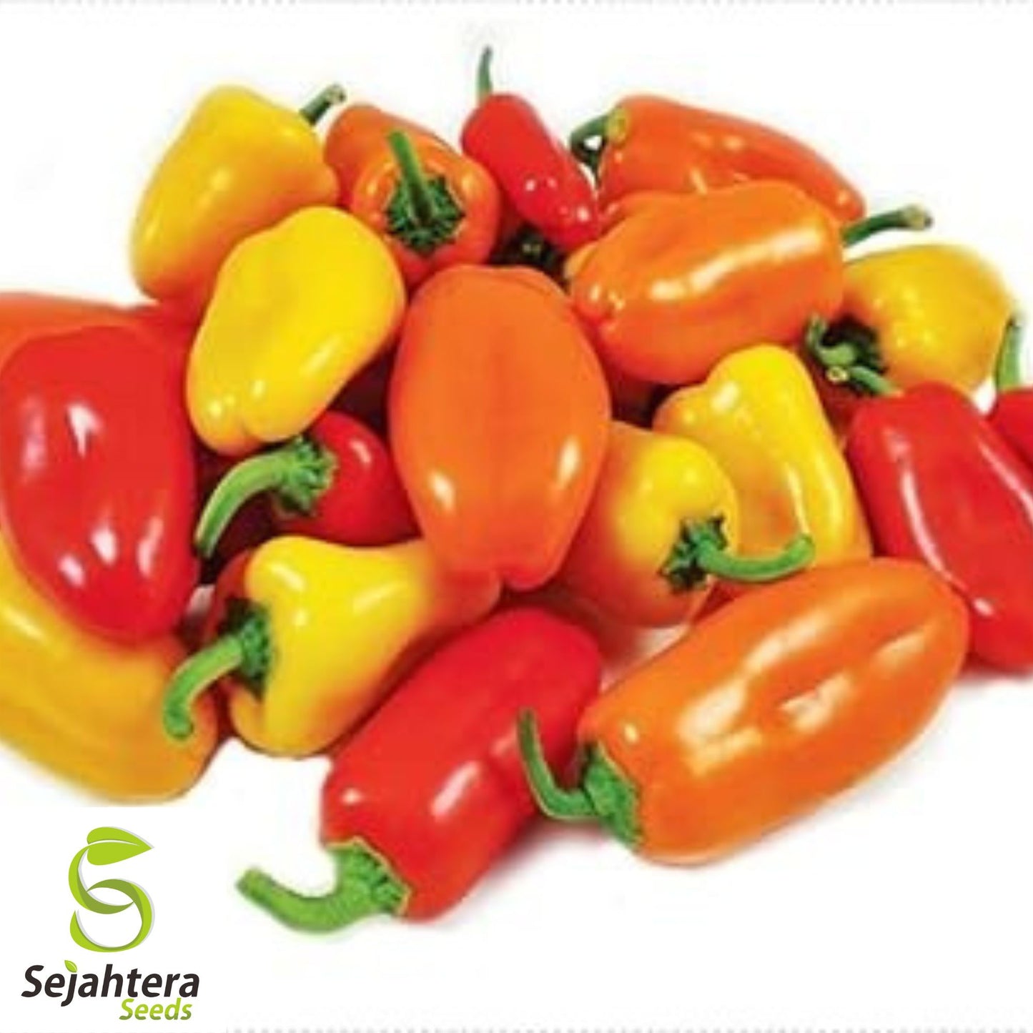 Sweet & Spicy Pepper Mix Seeds - 120+ Heirloom - Fresh, High-Yield & Flavorful