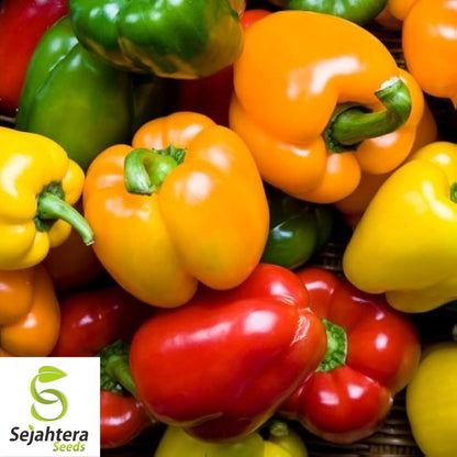 Sweet & Spicy Pepper Mix Seeds - 120+ Heirloom - Fresh, High-Yield & Flavorful