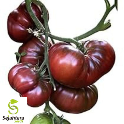 European Black Cherry Tomato Seeds - 100+ Organic Heirloom - Sweet & Rare