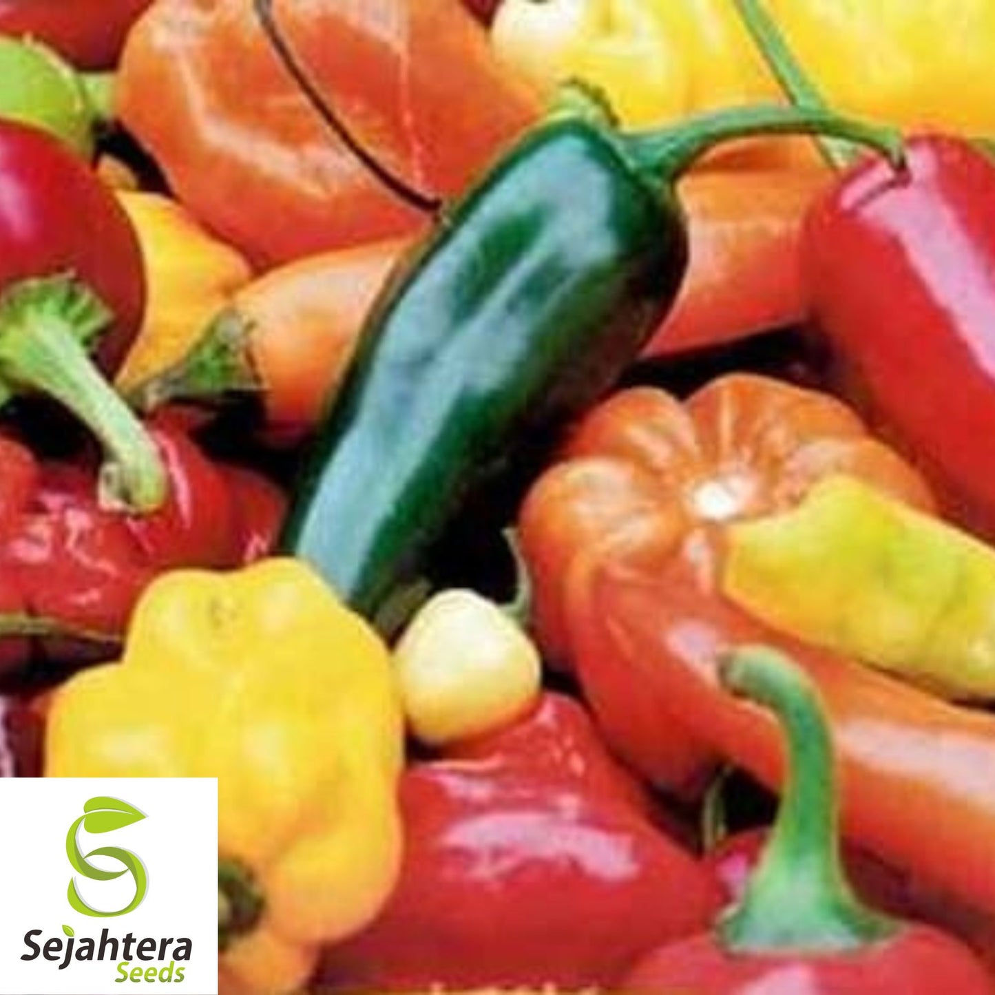 Sweet & Spicy Pepper Mix Seeds - 120+ Heirloom - Fresh, High-Yield & Flavorful