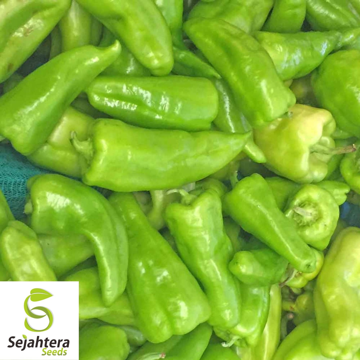 25 Cubanelle Sweet Pepper Seeds - Non-GMO, Mild & Flavorful Variety