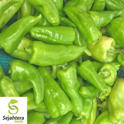 25 Cubanelle Sweet Pepper Seeds - Non-GMO, Mild & Flavorful Variety