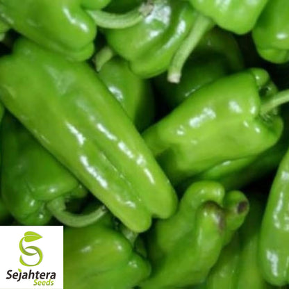 25 Cubanelle Sweet Pepper Seeds - Non-GMO, Mild & Flavorful Variety