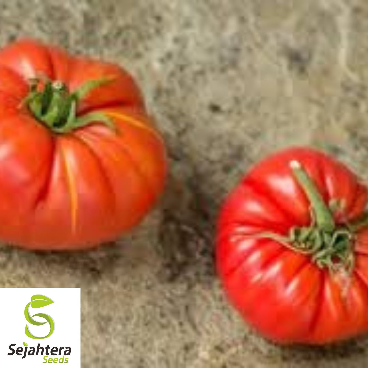 German Giant Tomato Seeds - 120+ Organic Heirloom - Huge & Juicy - Non-GMO