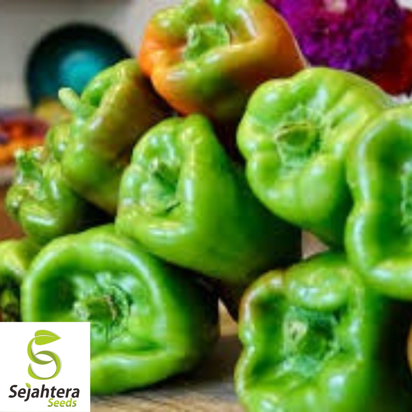 Big Bertha Sweet Pepper Seeds - 25+ Heirloom - Non-GMO, Organic & Huge