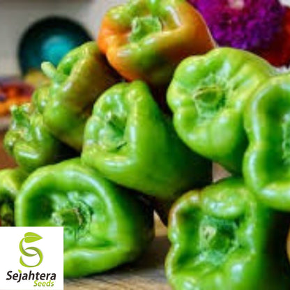 Big Bertha Sweet Pepper Seeds - 25+ Heirloom - Non-GMO, Organic & Huge