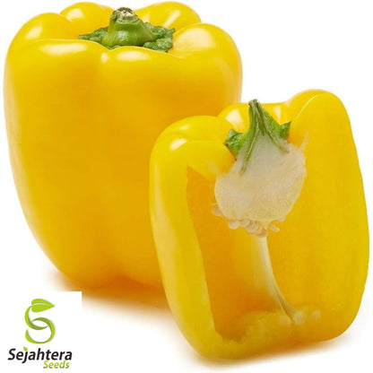 20 Sunbright Sweet Bell Pepper Seeds - Non-GMO, Crisp & Vibrant Variety