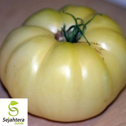 White Wonder Beefsteak Tomato Seeds 50 Ct | Heirloom NON-GMO Vegetable USA