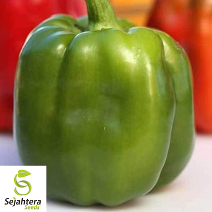Giant Keystone Sweet Pepper Seeds - 100+ Heirloom, Organic, Non-GMO & Fresh