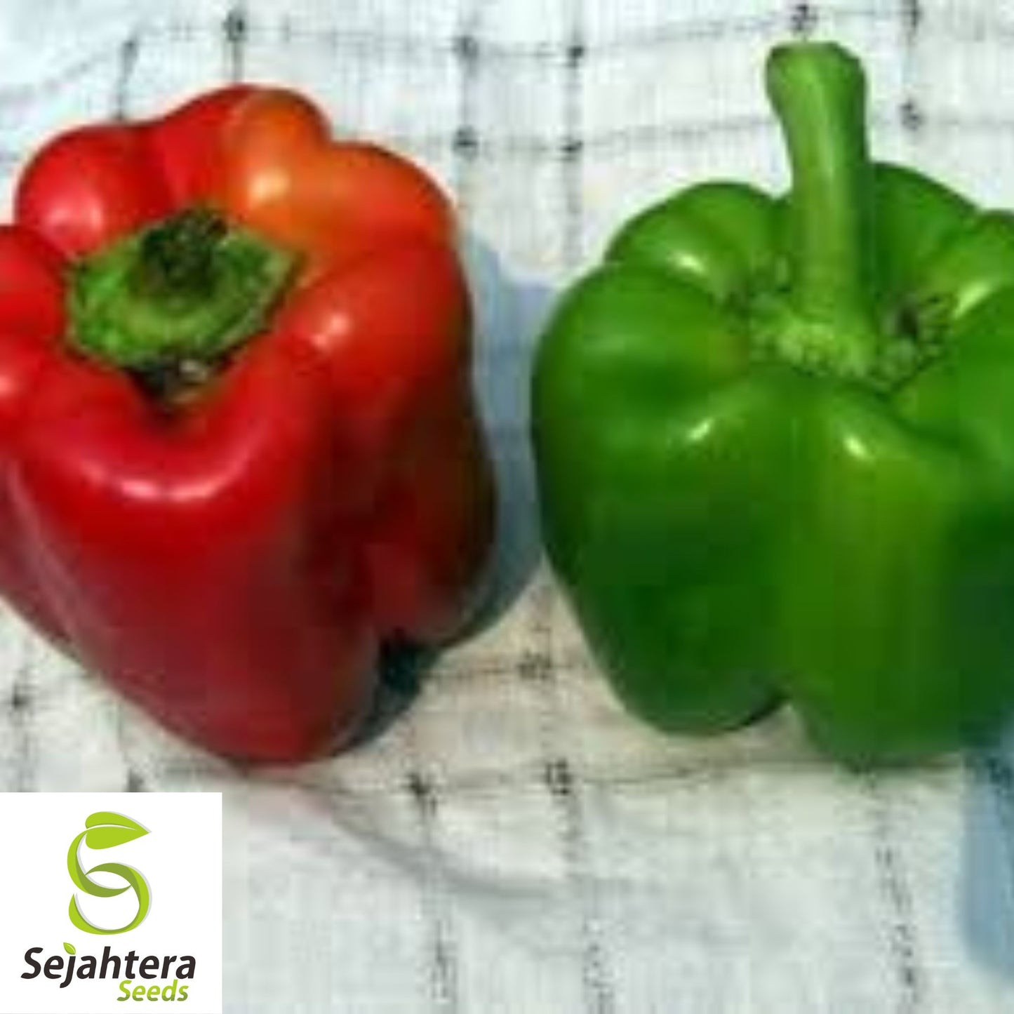 Giant Keystone Sweet Pepper Seeds - 100+ Heirloom, Organic, Non-GMO & Fresh