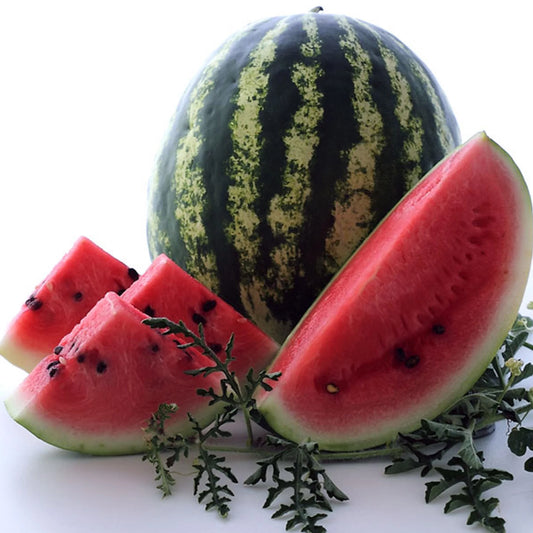 Water Melon Crimson Sweet Seeds For Planting