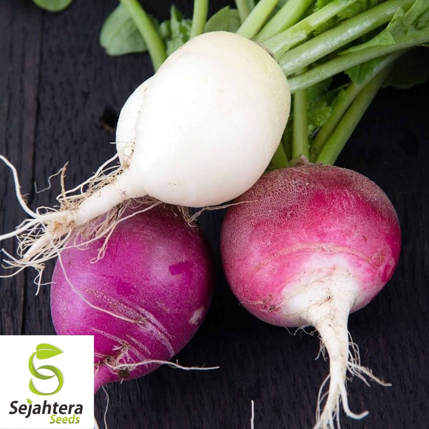 Radish Seeds 200 Ct | Easter Egg Blend Colorful Vegetable Garden NON-GMO USA