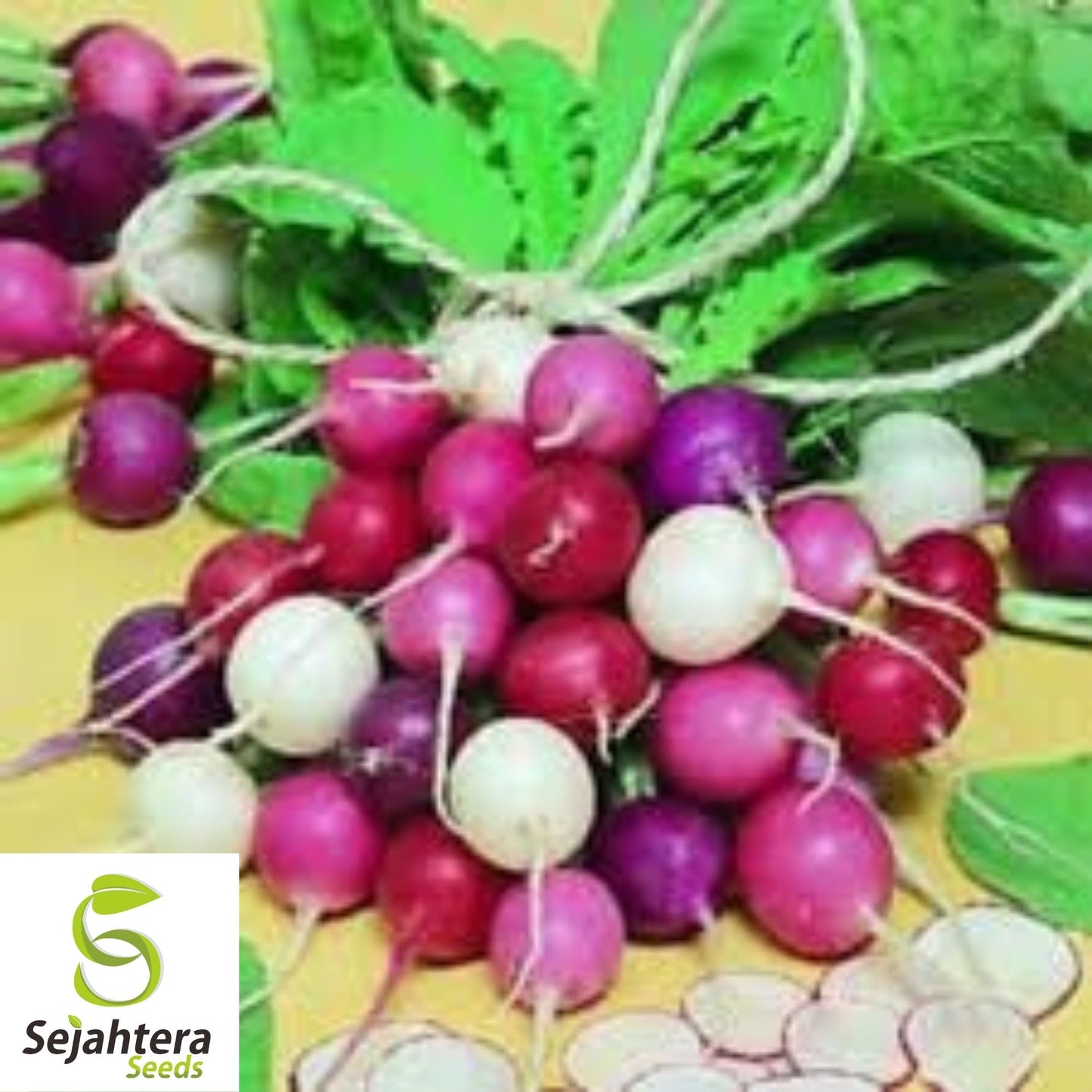 Radish Seeds 200 Ct | Easter Egg Blend Colorful Vegetable Garden NON-GMO USA