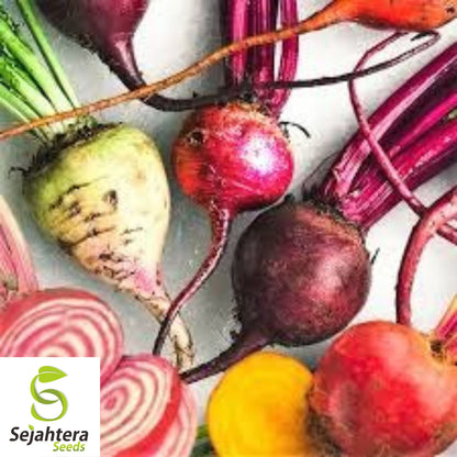 50 Rainbow Blend Beet Mix Seeds - Heirloom, Non-GMO, Multiple Colors
