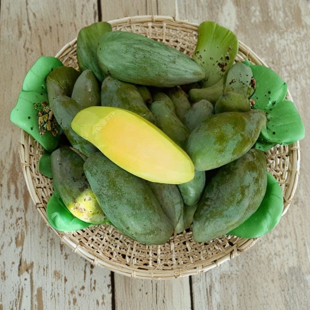 Mun Kun Si Mango Tree – Mangifera indica Grafted Live Tree | 2–4 Feet Tall | Actual Photos  Thai Green-Eating Variety | Fiberless & Sweet | Ships to All States