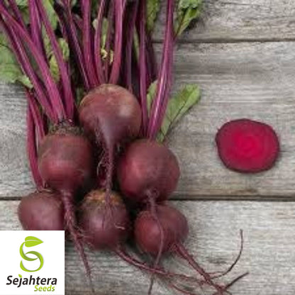 Detroit Dark Red Beet Seeds - 250+ Heirloom, Organic, Non-GMO & Sweet