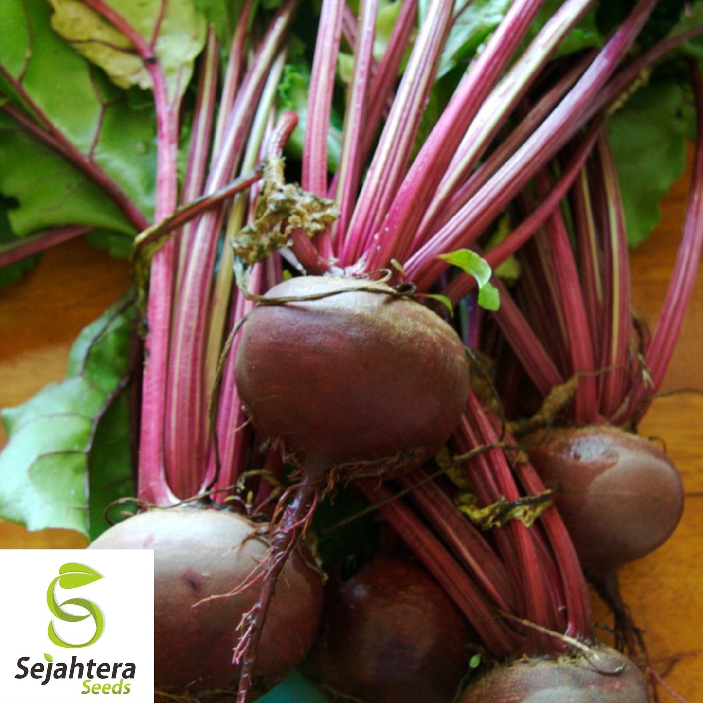 50 Lutz Green Leaf Red Stem Beet Seeds - Heirloom, Non-GMO, Winterkeeper Variety