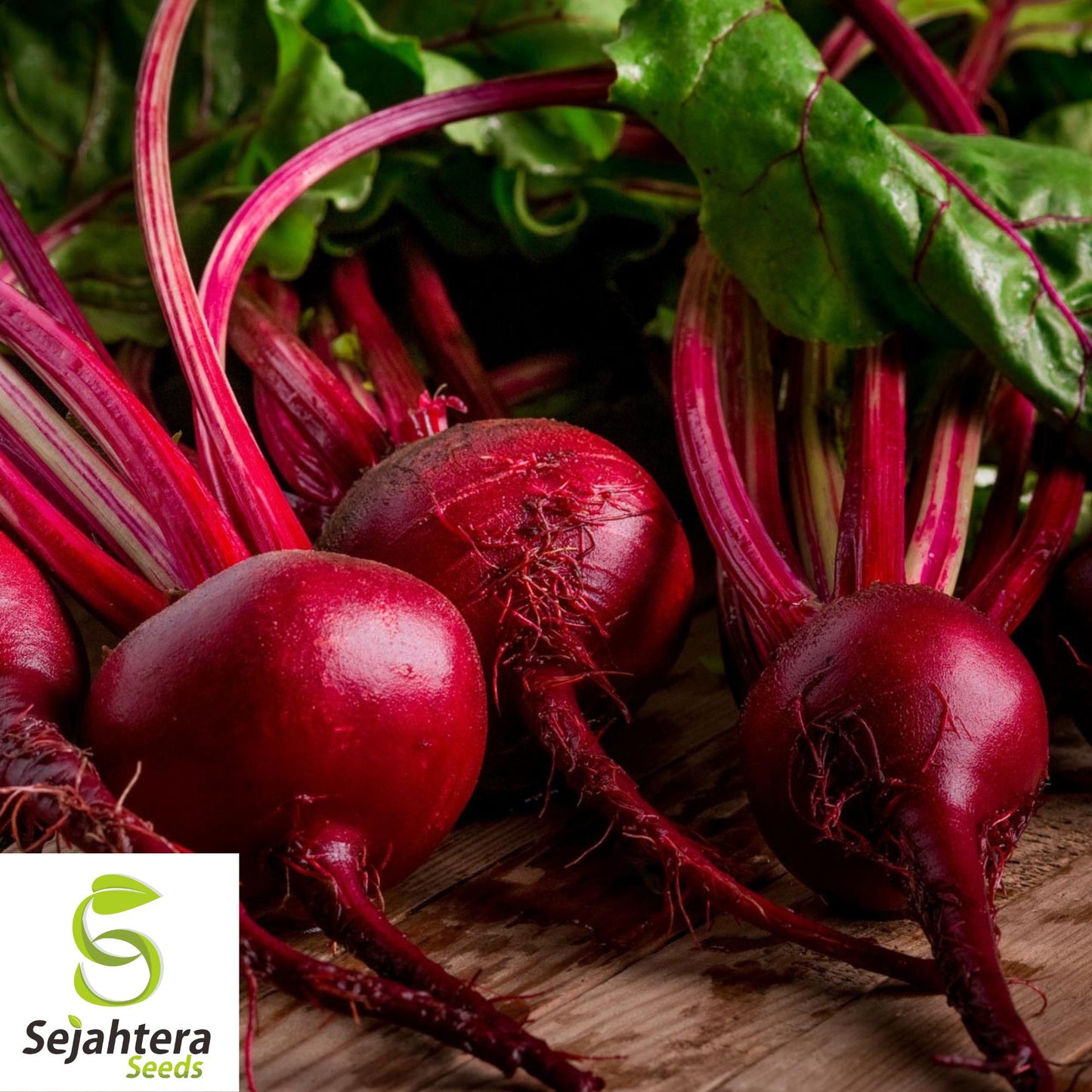 Detroit Dark Red Beet Seeds - 250+ Heirloom, Organic, Non-GMO & Sweet